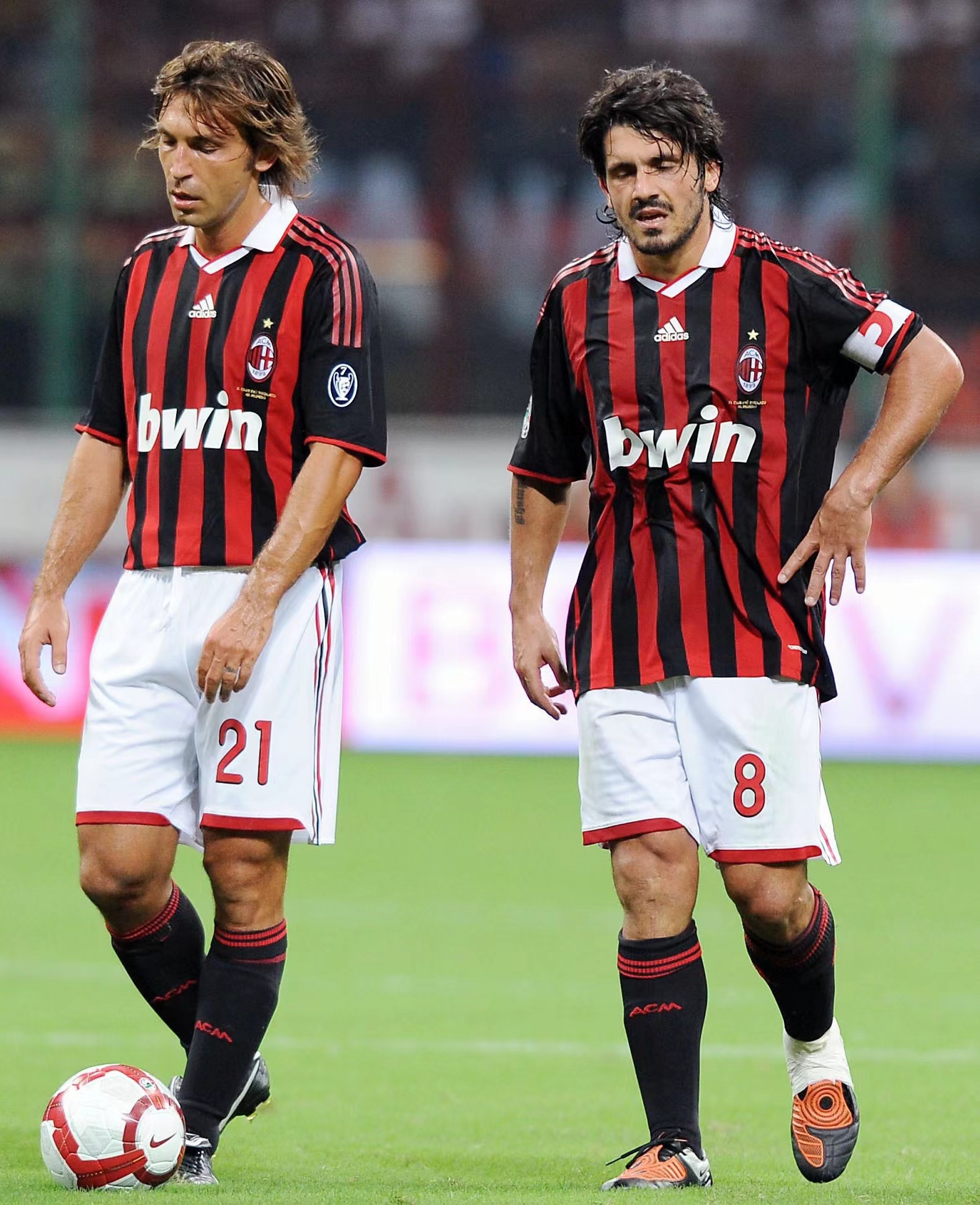 迎来一颗真 迎来一颗真