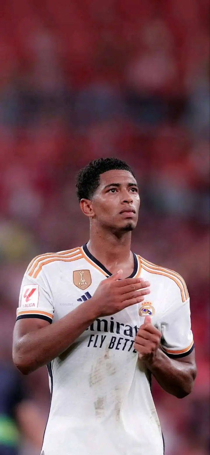 开放世界赛 开放世界赛