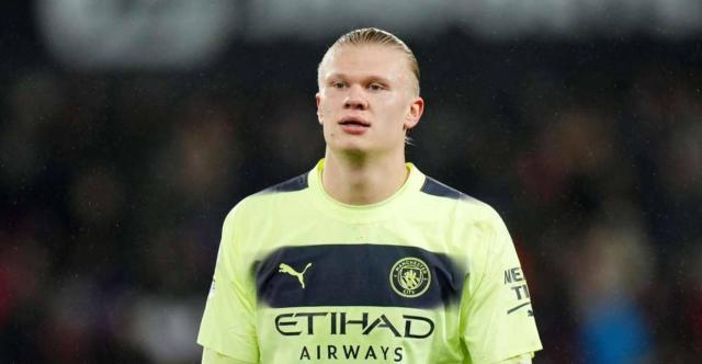 埋伏萤光鱼 埋伏萤光鱼